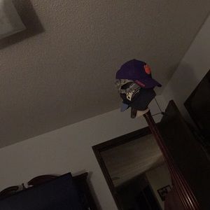 Meet your Posher, Robin